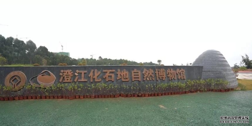 不同出海场景推荐什么外呼系统：东南亚、欧美、中东市场哪家平台真正好用？